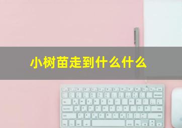 小树苗走到什么什么