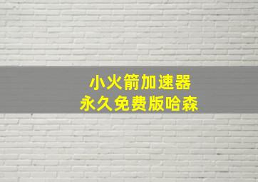 小火箭加速器永久免费版哈森