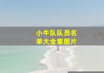 小牛队队员名单大全集图片