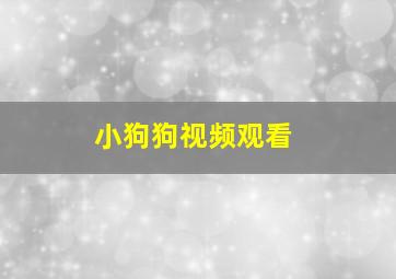 小狗狗视频观看