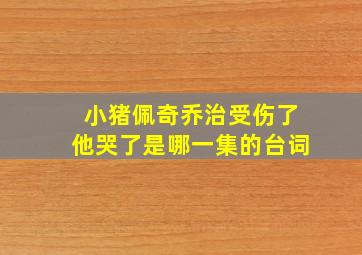 小猪佩奇乔治受伤了他哭了是哪一集的台词