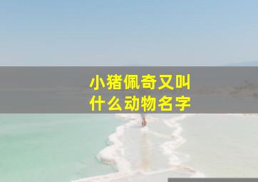 小猪佩奇又叫什么动物名字