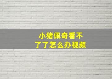 小猪佩奇看不了了怎么办视频