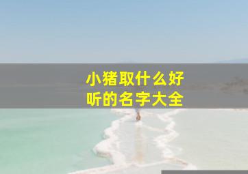 小猪取什么好听的名字大全