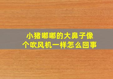 小猪嘟嘟的大鼻子像个吹风机一样怎么回事