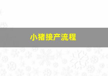 小猪接产流程