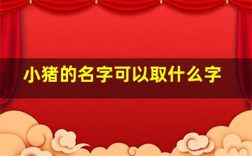 小猪的名字可以取什么字