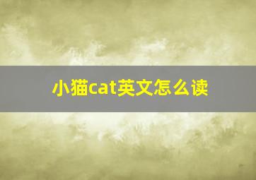 小猫cat英文怎么读