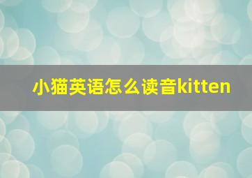 小猫英语怎么读音kitten