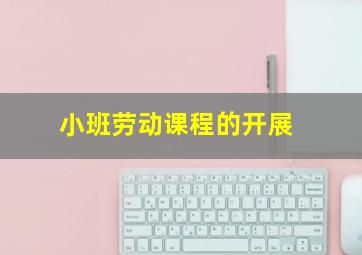 小班劳动课程的开展