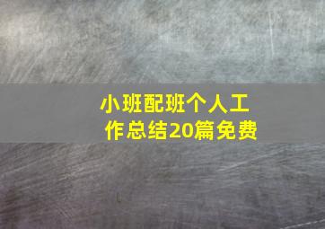 小班配班个人工作总结20篇免费