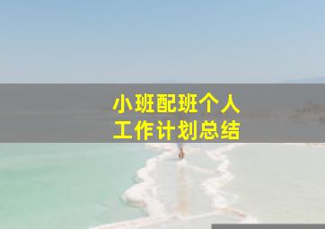 小班配班个人工作计划总结