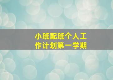 小班配班个人工作计划第一学期