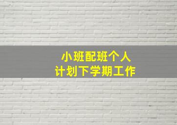 小班配班个人计划下学期工作