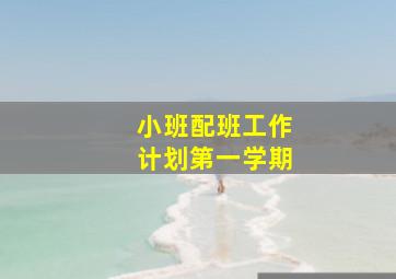 小班配班工作计划第一学期