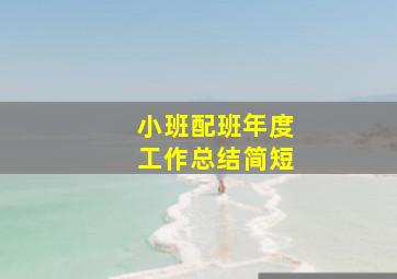 小班配班年度工作总结简短