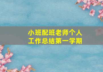 小班配班老师个人工作总结第一学期