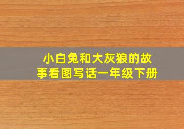 小白兔和大灰狼的故事看图写话一年级下册