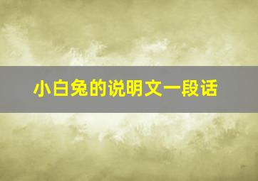 小白兔的说明文一段话