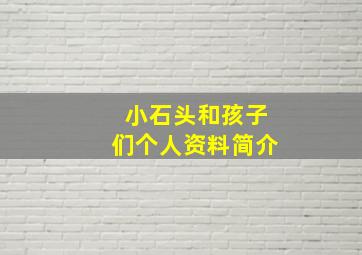 小石头和孩子们个人资料简介