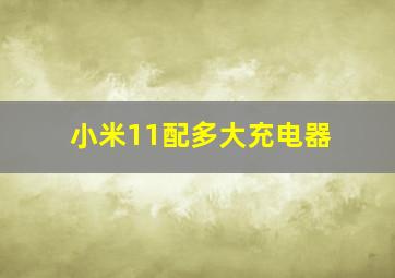 小米11配多大充电器