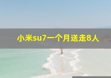 小米su7一个月送走8人