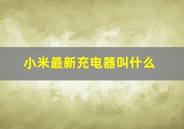 小米最新充电器叫什么