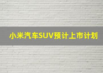 小米汽车SUV预计上市计划