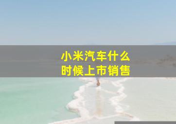 小米汽车什么时候上市销售