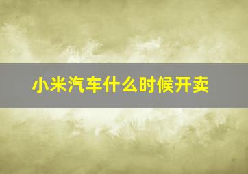 小米汽车什么时候开卖