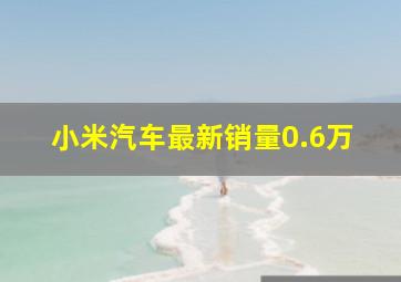 小米汽车最新销量0.6万