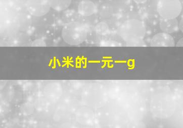 小米的一元一g