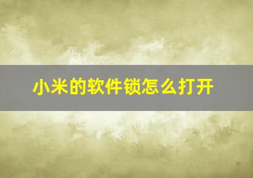 小米的软件锁怎么打开