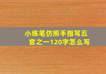 小练笔仿照手指写五官之一120字怎么写