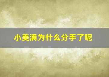 小美满为什么分手了呢