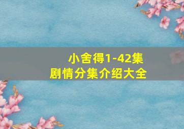 小舍得1-42集剧情分集介绍大全