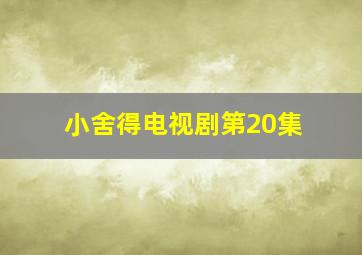 小舍得电视剧第20集