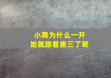 小舞为什么一开始就跟着唐三了呢