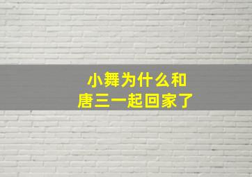 小舞为什么和唐三一起回家了