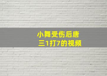 小舞受伤后唐三1打7的视频