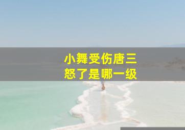 小舞受伤唐三怒了是哪一级