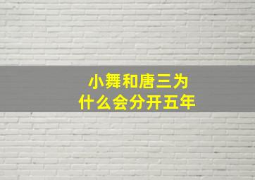 小舞和唐三为什么会分开五年