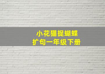 小花猫捉蝴蝶扩句一年级下册