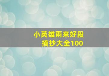 小英雄雨来好段摘抄大全100