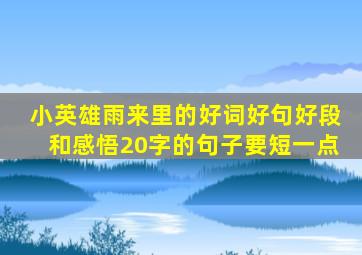 小英雄雨来里的好词好句好段和感悟20字的句子要短一点