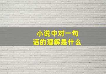 小说中对一句话的理解是什么