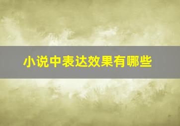 小说中表达效果有哪些