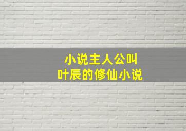 小说主人公叫叶辰的修仙小说