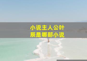 小说主人公叶辰是哪部小说