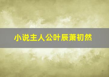 小说主人公叶辰萧初然